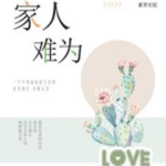 红袖添香小说网,女性文学领域的领军者与数字化转型之路