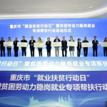 重庆人社局官网,聚焦民生保障，助力区域发展