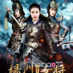 杨门女将电视剧,巾帼不让须眉，传奇女将的英勇征程