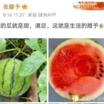 可以吃娱乐圈的瓜吗,揭秘明星幕后故事