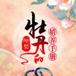 牡丹的娇养手册,从播种到绽放的养护全攻略