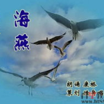 海燕朗诵视频,高尔基散文诗的朗诵魅力与革命精神的颂扬