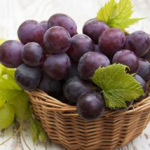 娱乐吃瓜酱吃葡萄,娱乐吃瓜酱带你品味葡萄的甜蜜与酸涩